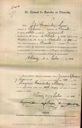Fernández Siero, Julio - Cédula de nacionalidad