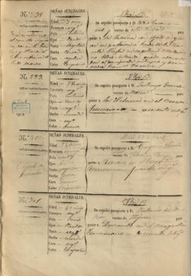 102v Libro registro de pasaportes para ultramar